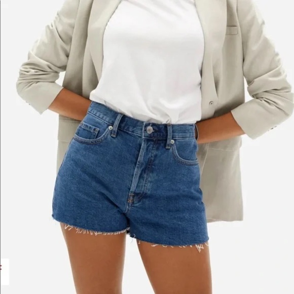 Everlane the cheeky short size 31